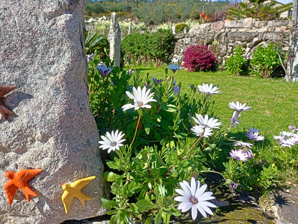 Jardim Da Rosa Landhaus *